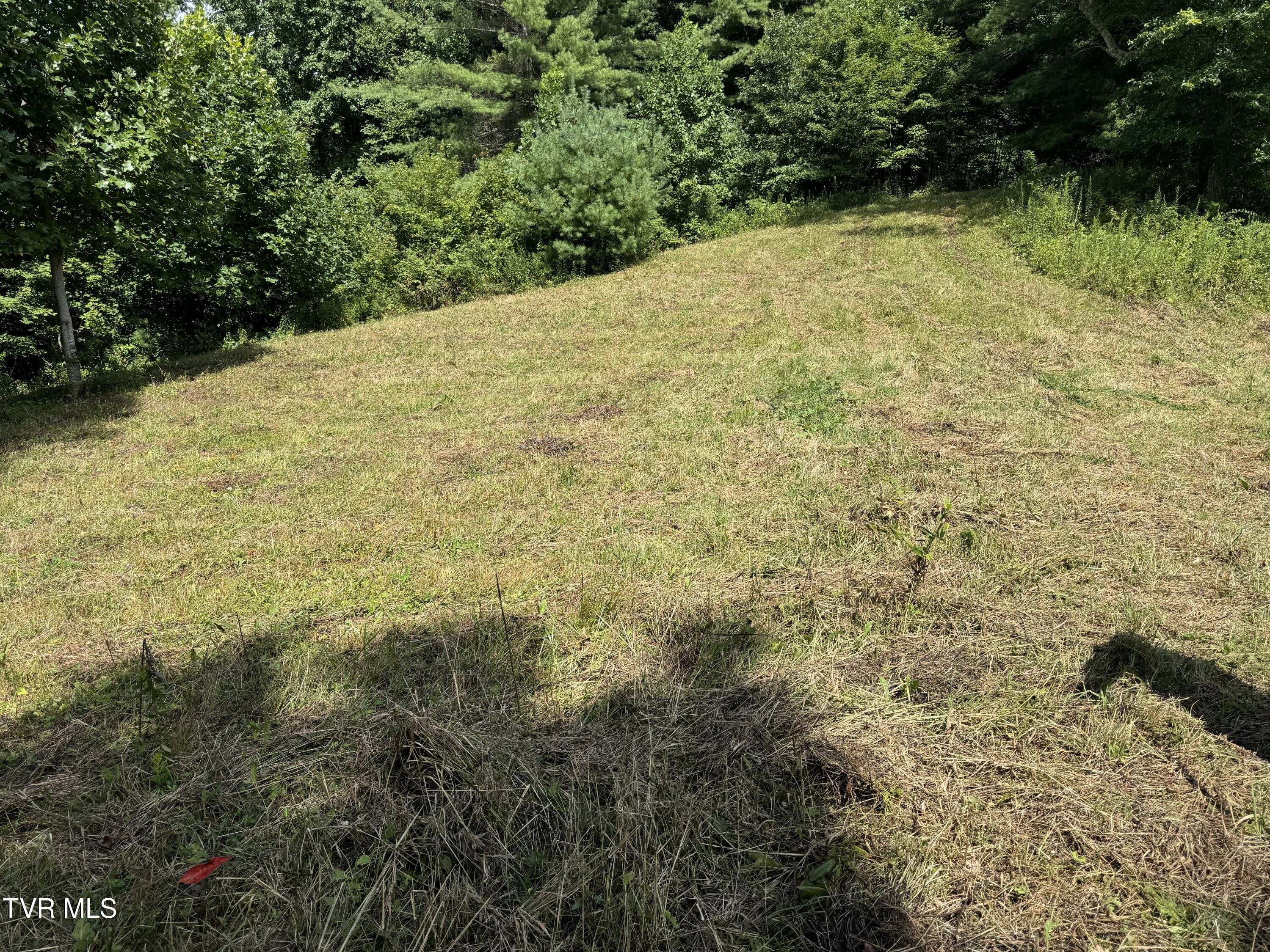 Tbd Bear Branch Road Roan Mountain, TN 37687 - Photo 13 of 15 IMG_0814