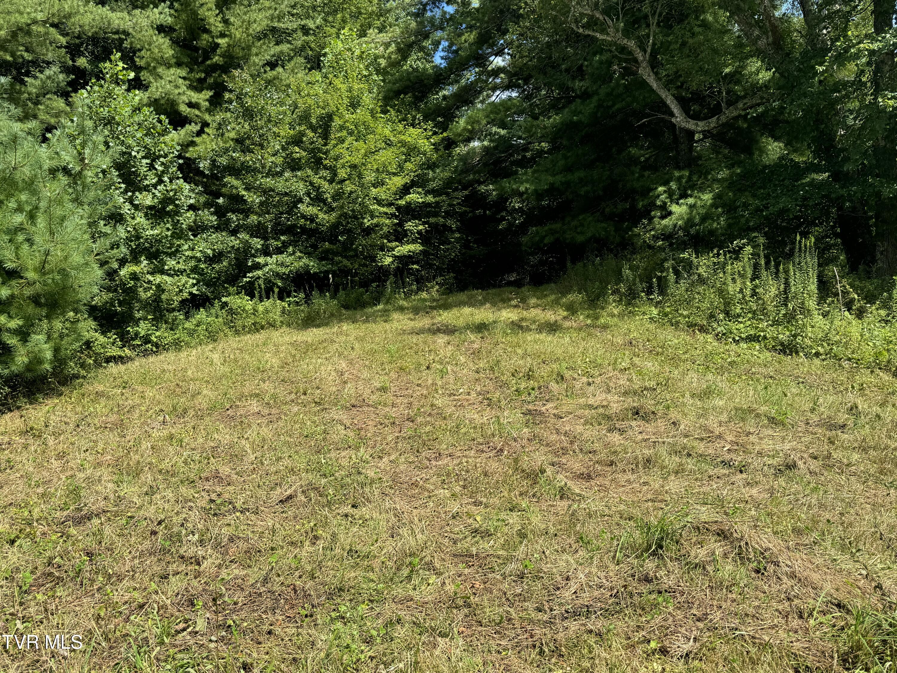Tbd Bear Branch Road Roan Mountain, TN 37687 - Photo 14 of 15 IMG_0812