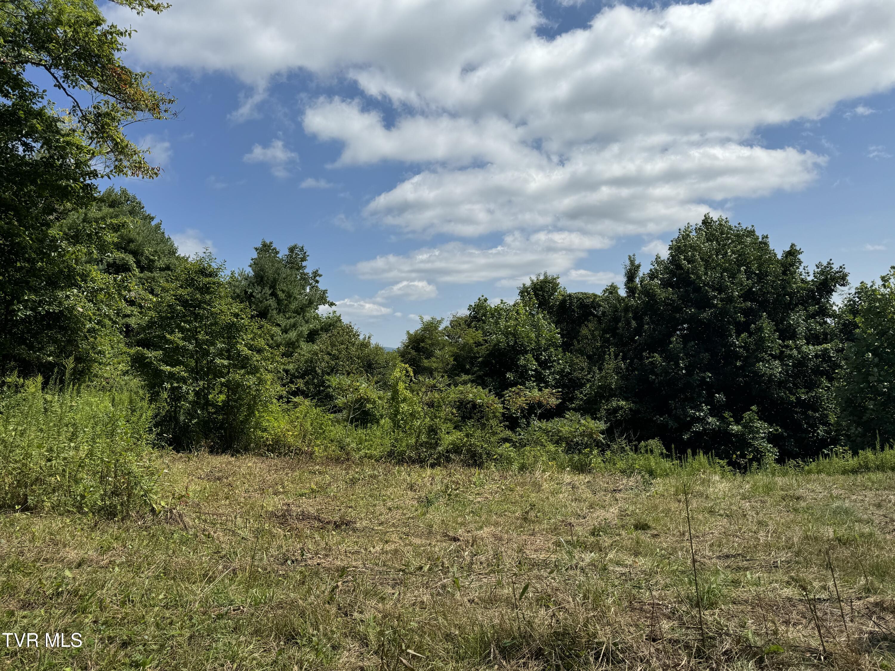 Tbd Bear Branch Road Roan Mountain, TN 37687 - Photo 15 of 15 IMG_0811