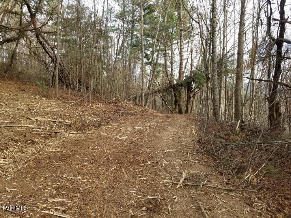 Tbd Bear Branch Road Roan Mountain, TN 37687 - Photo 7 of 15 Resized_20241118_153403