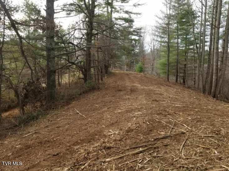 Tbd Bear Branch Road Roan Mountain, TN 37687 - Photo 9 of 15 Resized_20241118_153530