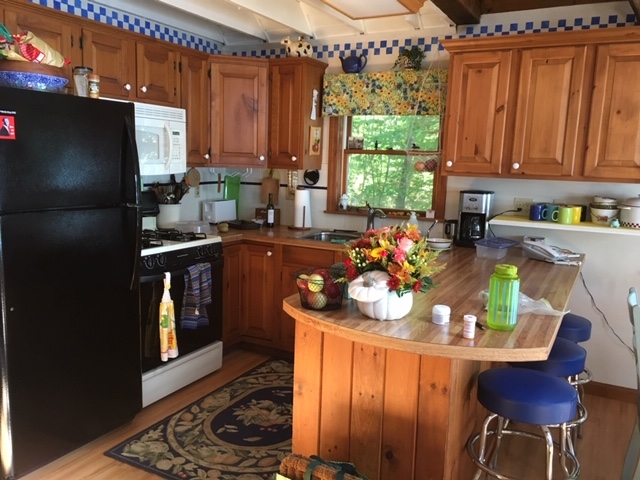 217 Bailey Road, Unit 22 23 66 Effingham, NH 03882 - Photo 21 of 29