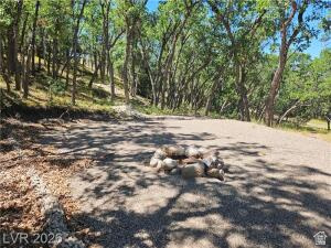 495 West Lutherwood Road, Unit 5 Alton, UT 84710 - Photo 31 of 35 Wooded lot with mature trees and a gravel surface