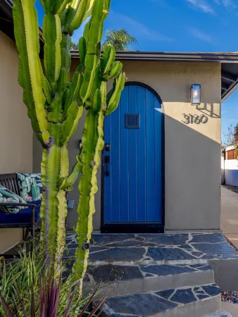 a plant that is sitting in front of a door