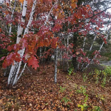 $25,000 | 1910 Highway 193, Beddington, ME 04622