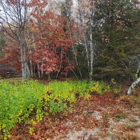 $25,000 | 1910 Highway 193, Beddington, ME 04622