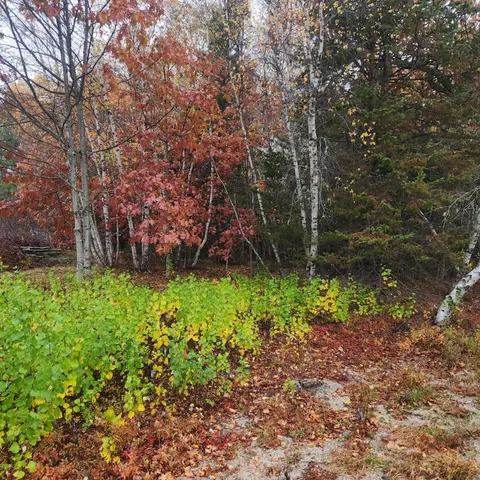 $29,900 | 1910 Highway 193, Beddington, ME 04622