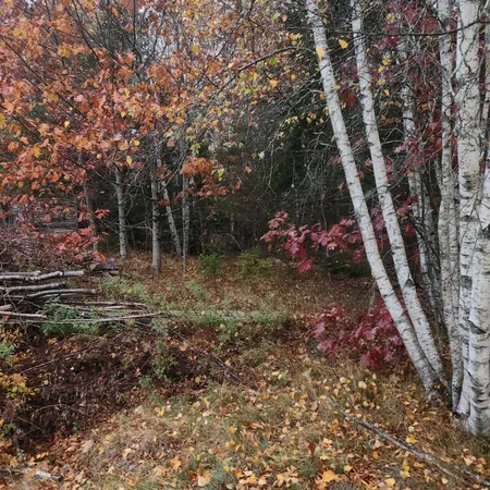 $25,000 | 1910 Highway 193, Beddington, ME 04622
