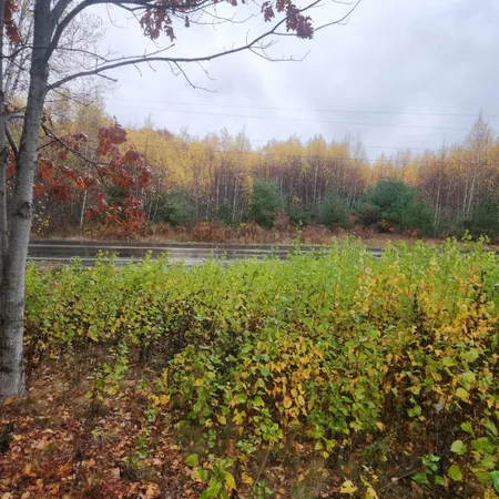 $25,000 | 1910 Highway 193, Beddington, ME 04622