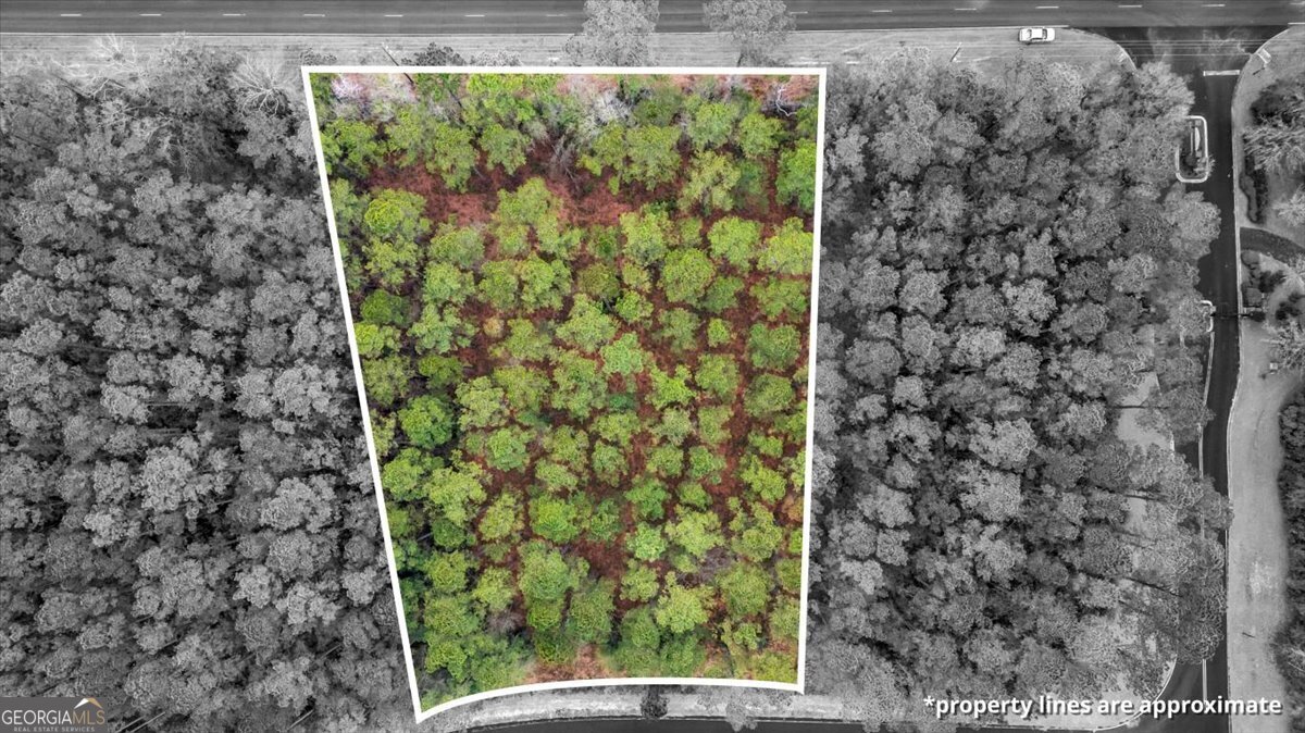 Lot 83 Fiddlers Cove Townsend, GA 31331 - Photo 1 of 16 a bathroom with a shower curtain