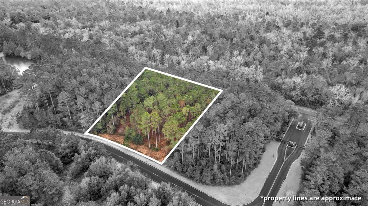 Lot 83 Fiddlers Cove Townsend, GA 31331 - Photo 13 of 16 a view of a backyard