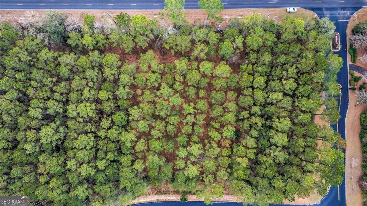 Lot 83 Fiddlers Cove Townsend, GA 31331 - Photo 10 of 16 a view of a yard with a tree