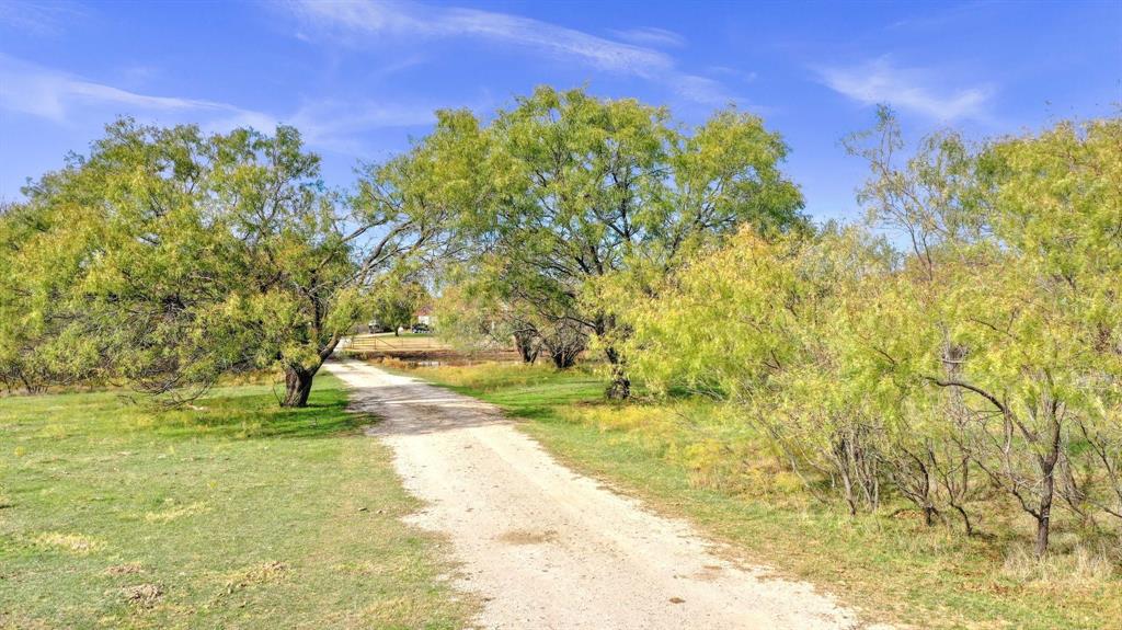 14771 Shearer Road Pilot Point, TX 76258 - Photo 15 of 36 a view of yard with tree in the background