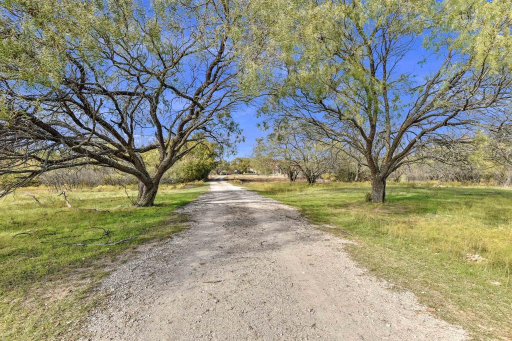 14771 Shearer Road Pilot Point, TX 76258 - Photo 20 of 36 a view of yard with tree