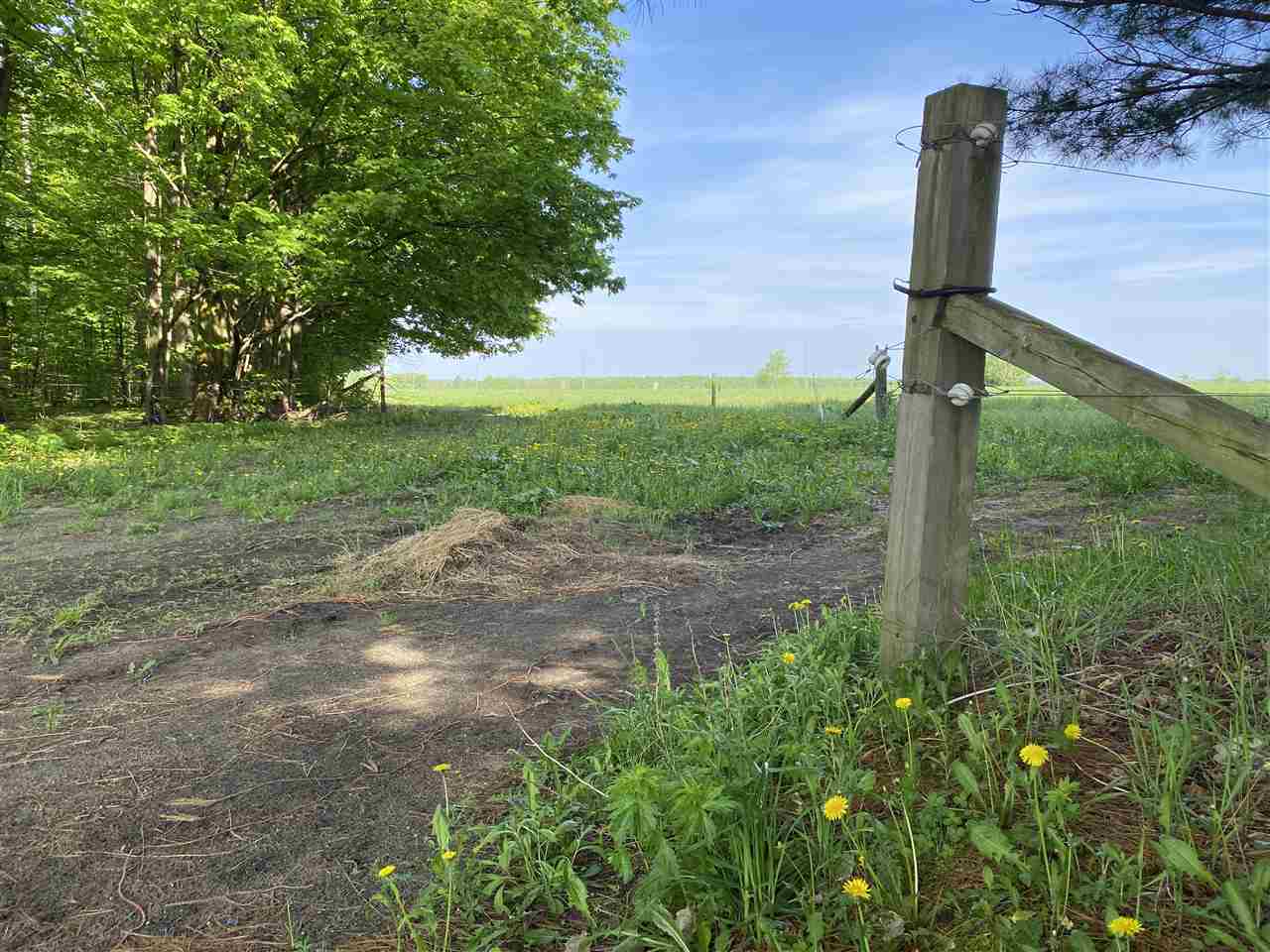 5436 Tyler Road Southeast Kalkaska, MI 49646 - Photo 93 of 99 1872614-92.JPG