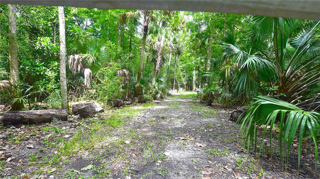 Volco Road Edgewater, FL 32141 - Photo 17 of 17