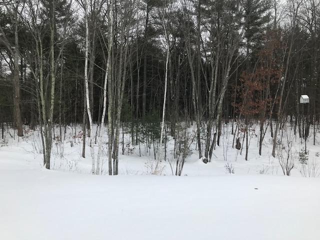 238 Jordan Springs Road Alfred, ME 04002 - Photo 18 of 18 yard