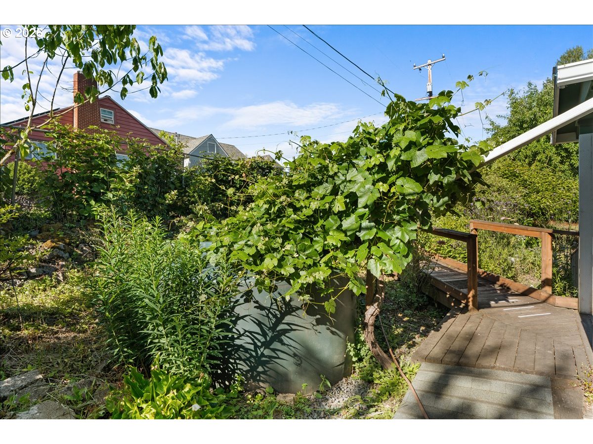772 Division Street Oregon City, OR 97045 - Photo 45 of 47 a view of a yard with plants