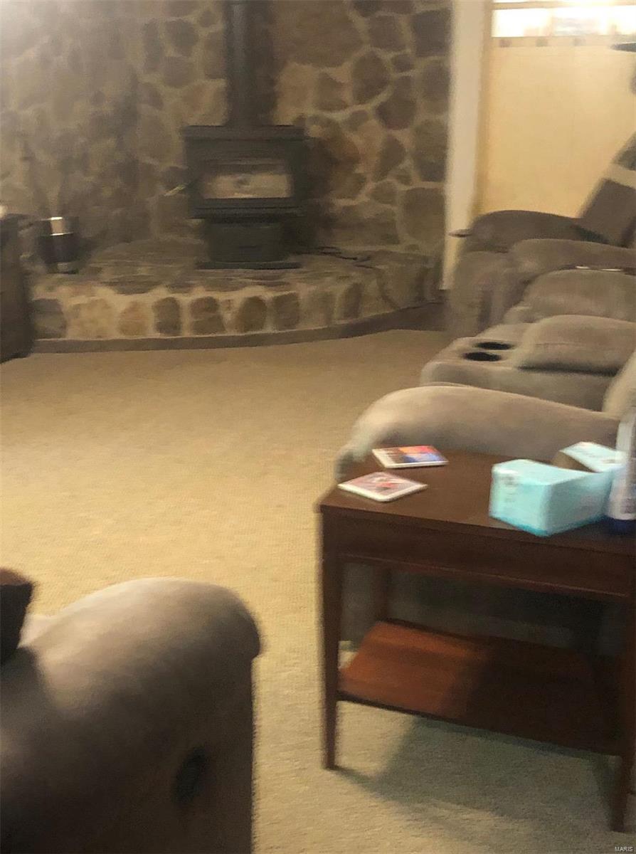 1852 Kessel Road Ava, IL 62907 - Photo 19 of 33