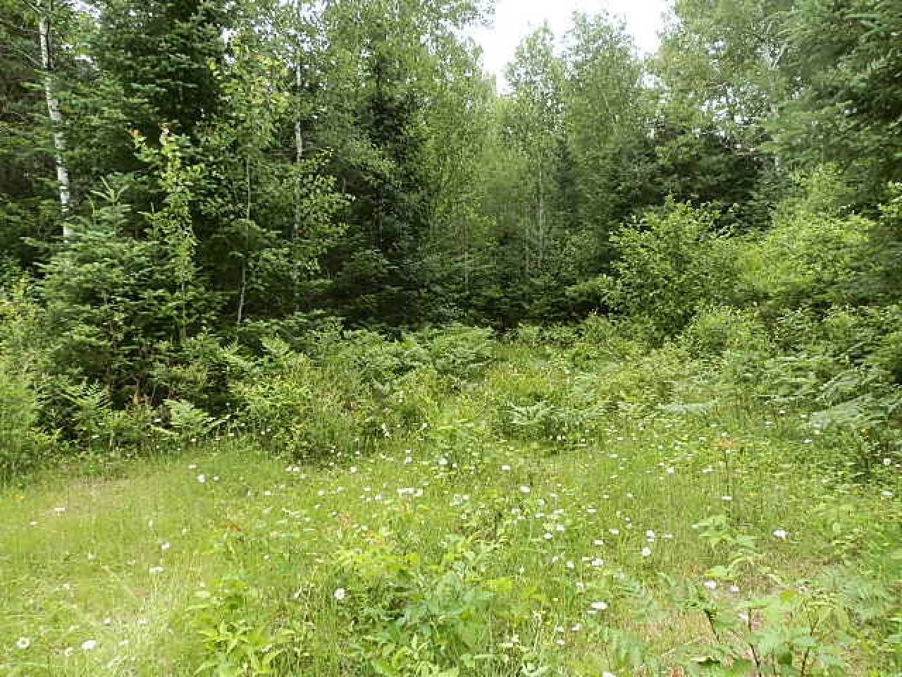 N12061 Old 13 Road Fifield, WI 54524 - Photo 8 of 35 Gallery Image 8