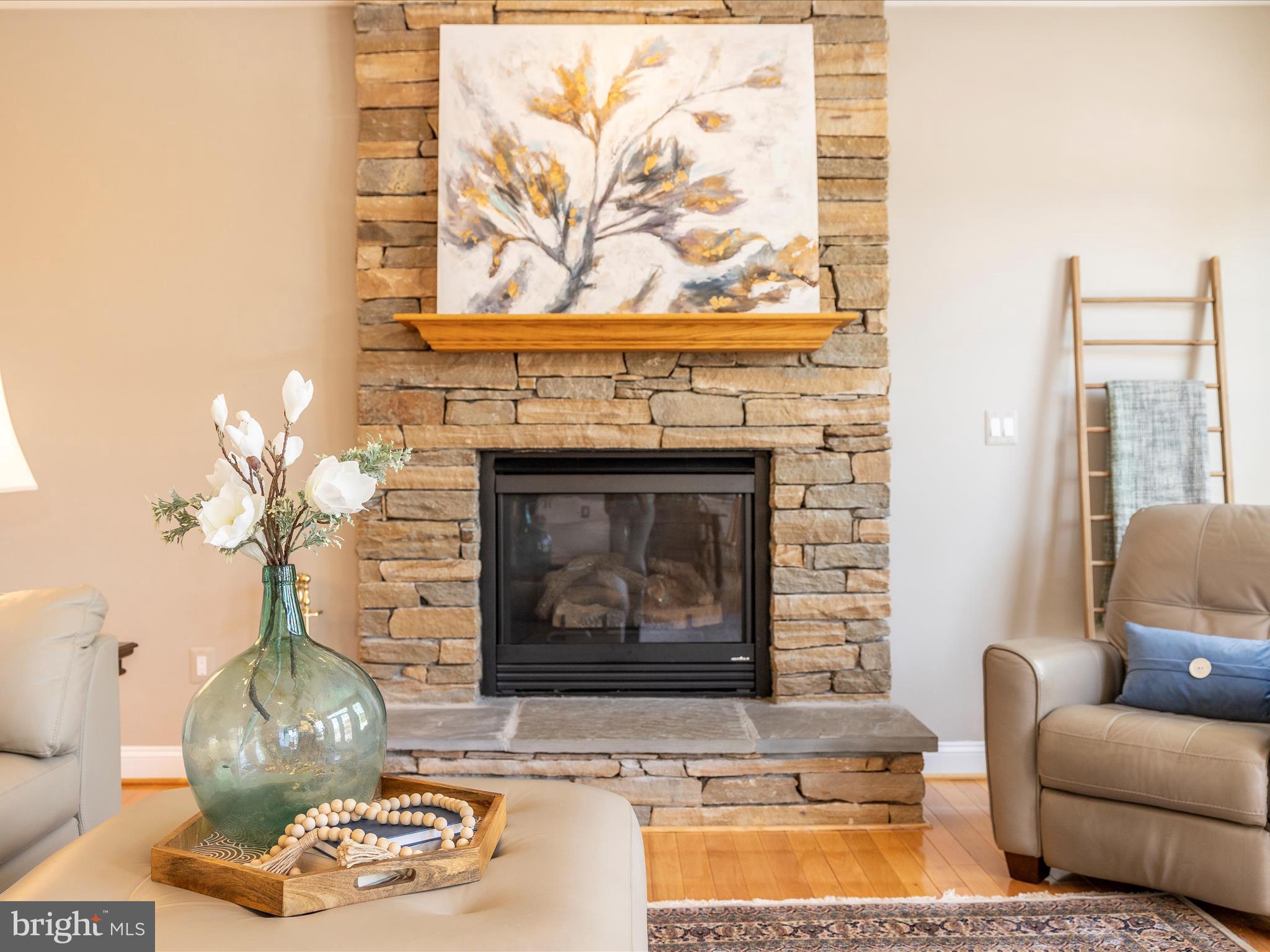 23133 Persimmon Ridge Road Clarksburg, MD 20871 - Photo 28 of 73 Gas fire place.
