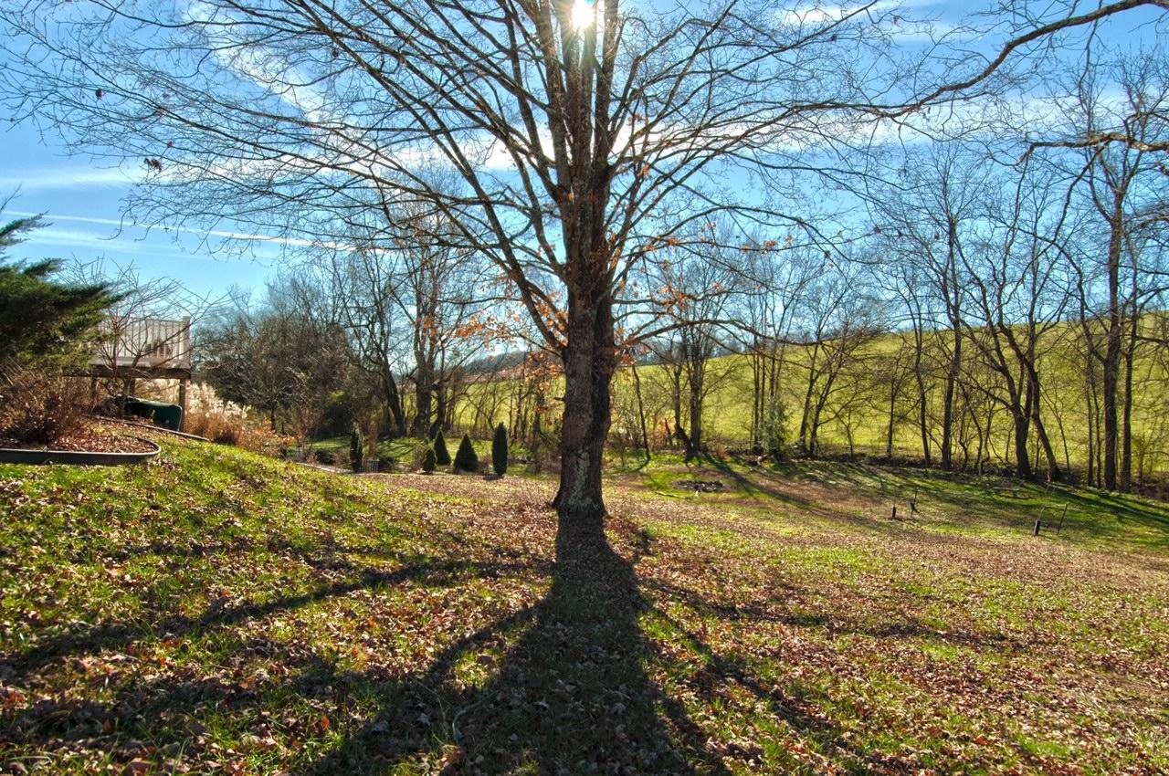 671 Briscoe Road Blaine, TN 37709 - Photo 4 of 6 Marks Tree Side