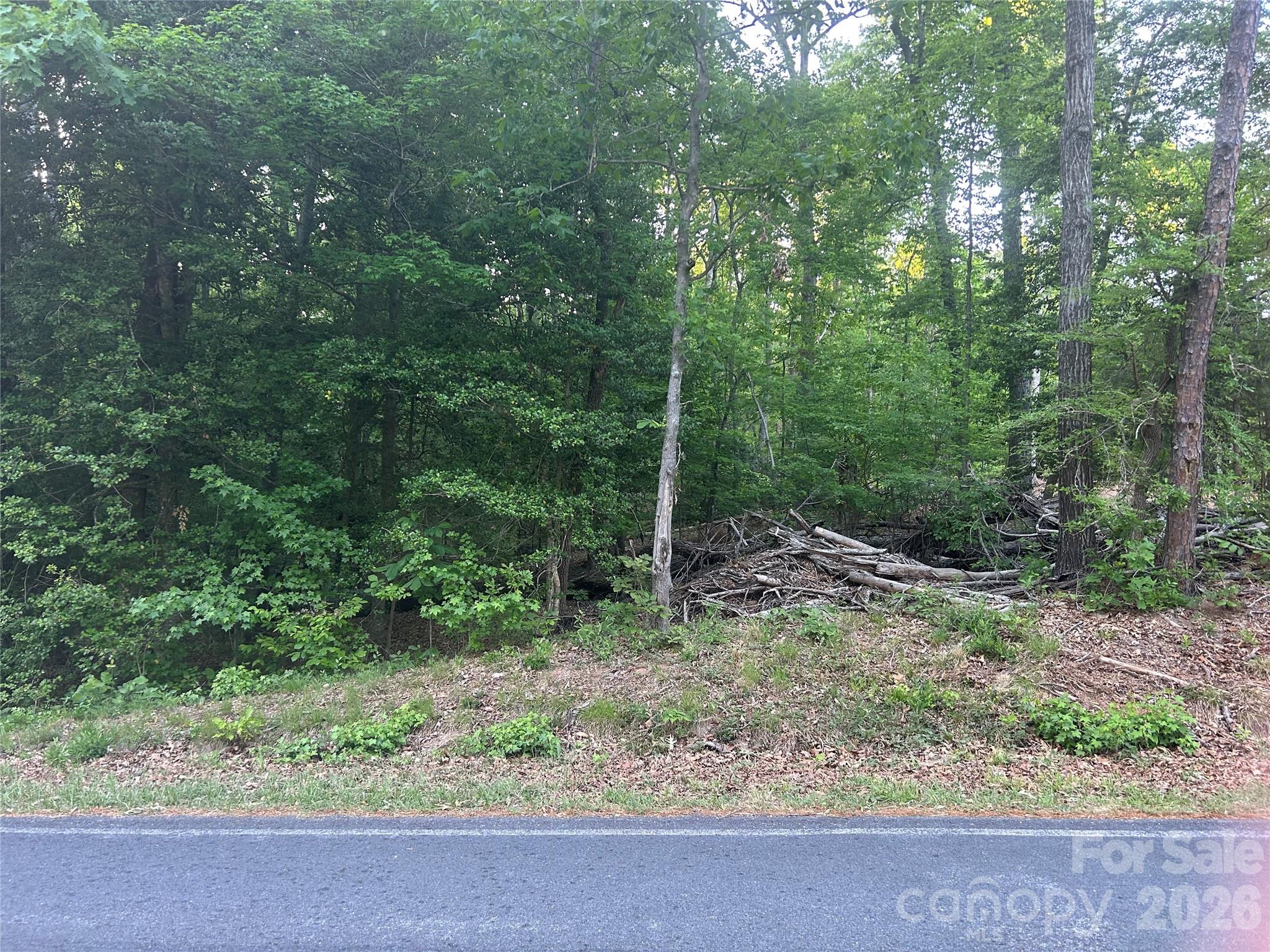 0 Lake Tillery Road Albemarle, NC 28001 - Photo 2 of 5 a view of a forest filled with trees