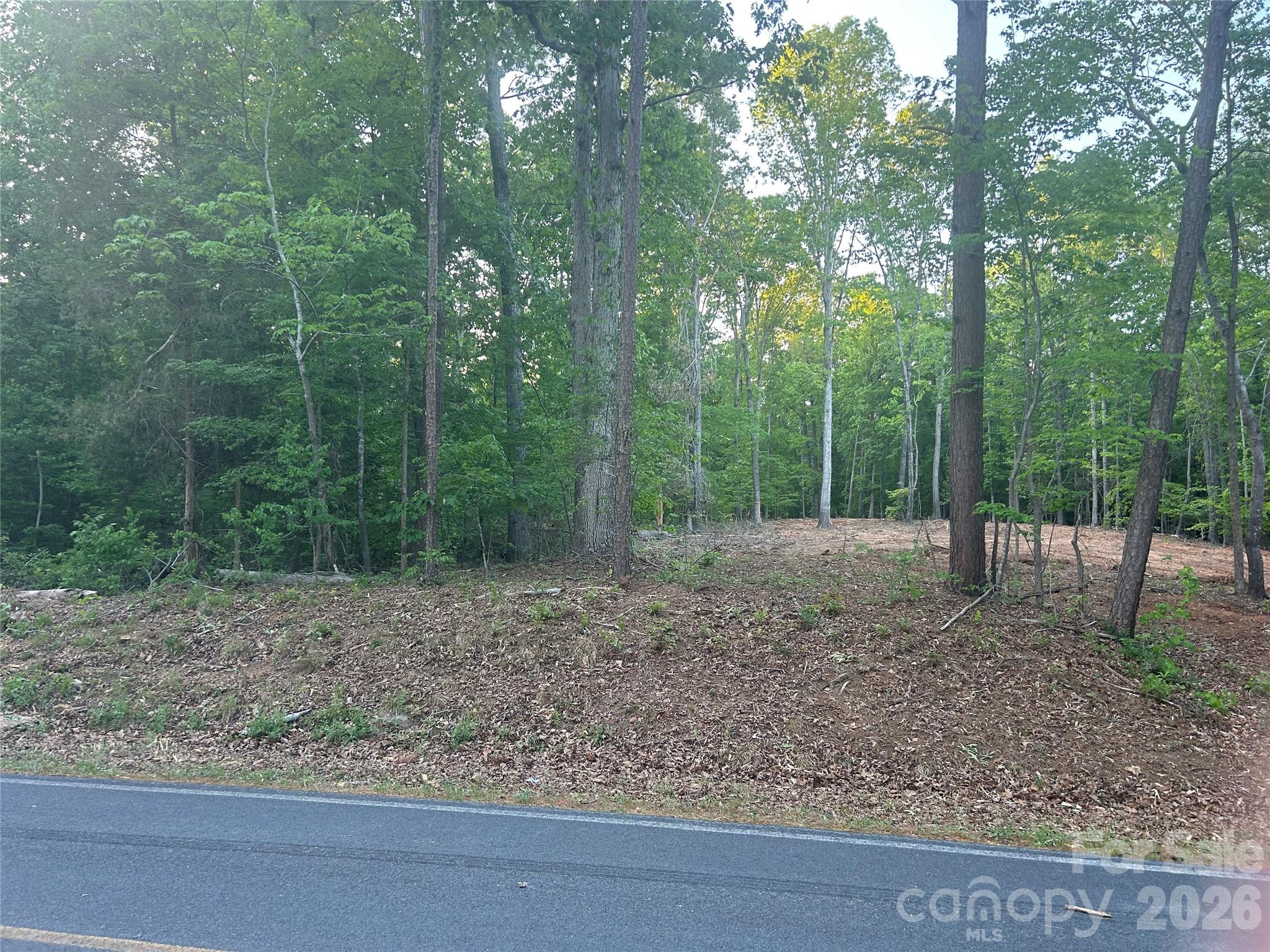 0 Lake Tillery Road Albemarle, NC 28001 - Photo 4 of 5 a view of a forest filled with trees