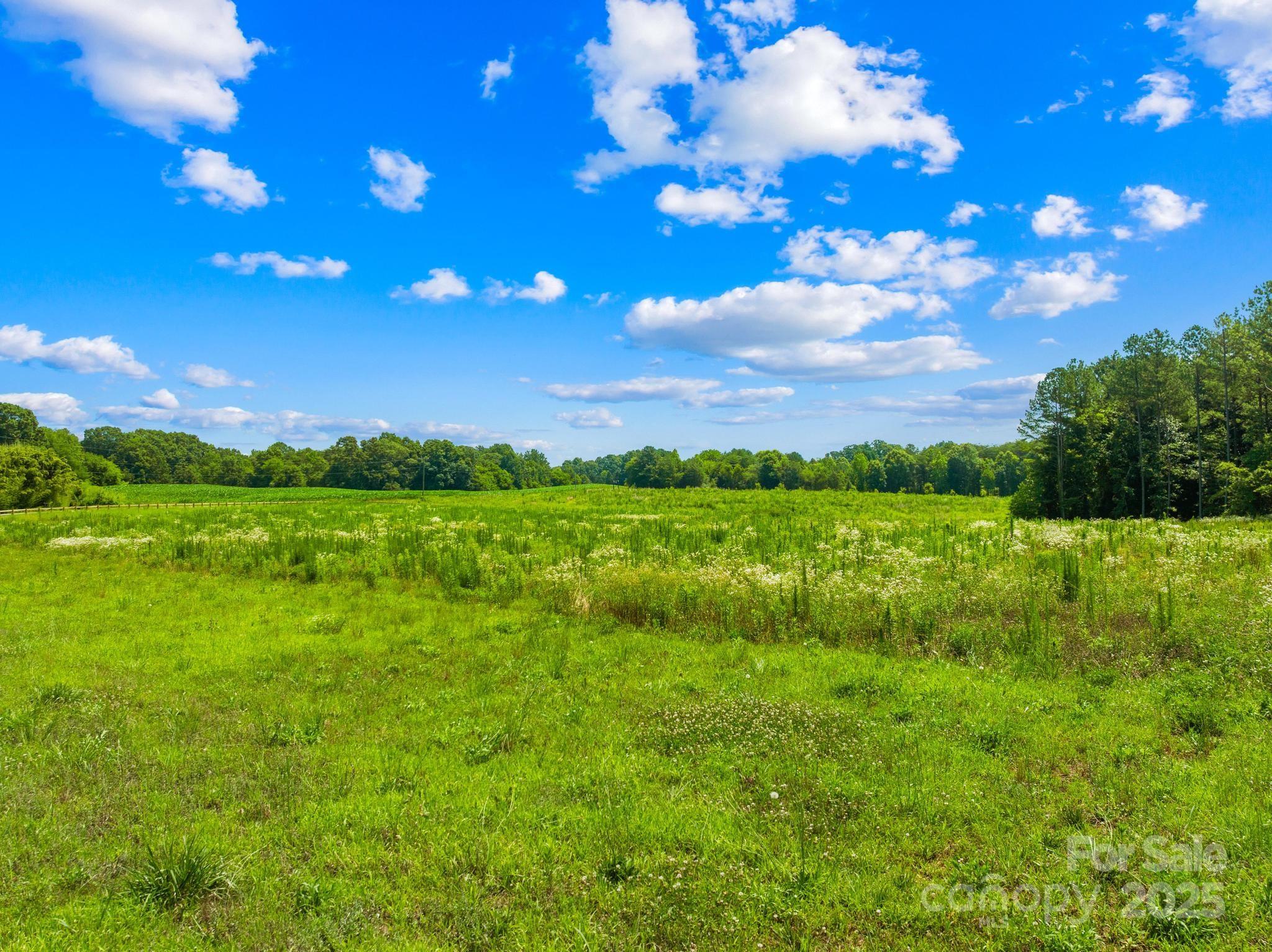 5921 Alley Road Catawba, NC 28609 - Photo 8 of 17 Gallery Image 8