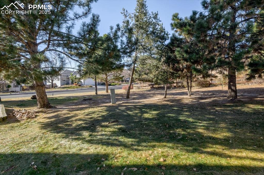 2531 Blazek Loop Colorado Springs, CO 80918 - Photo 21 of 29 a view of park space