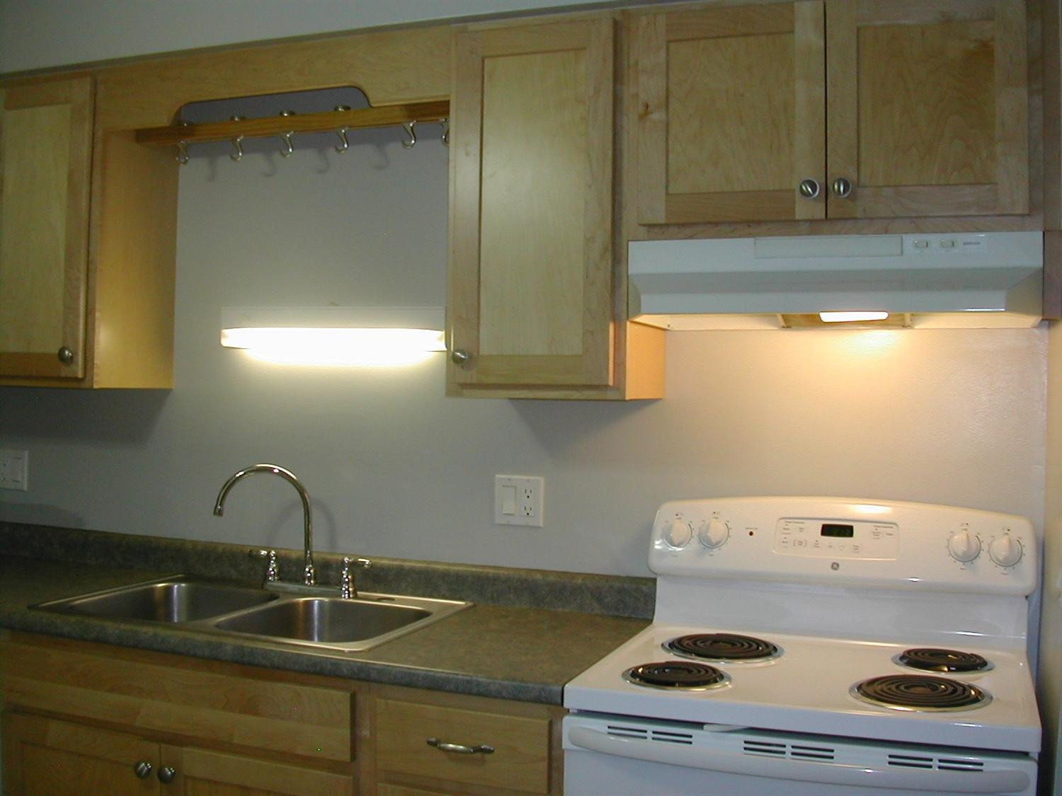 245 Brookridge Court, Unit 1 Ann Arbor, MI 48103 - Photo 3 of 17 Photo 3