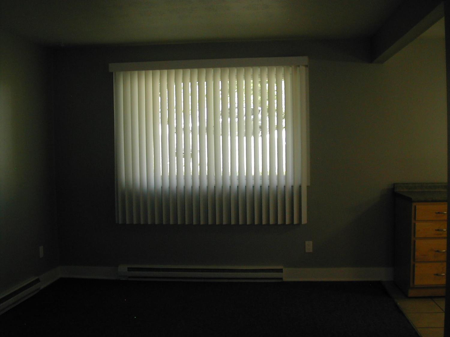 245 Brookridge Court, Unit 1 Ann Arbor, MI 48103 - Photo 6 of 17 Photo 6