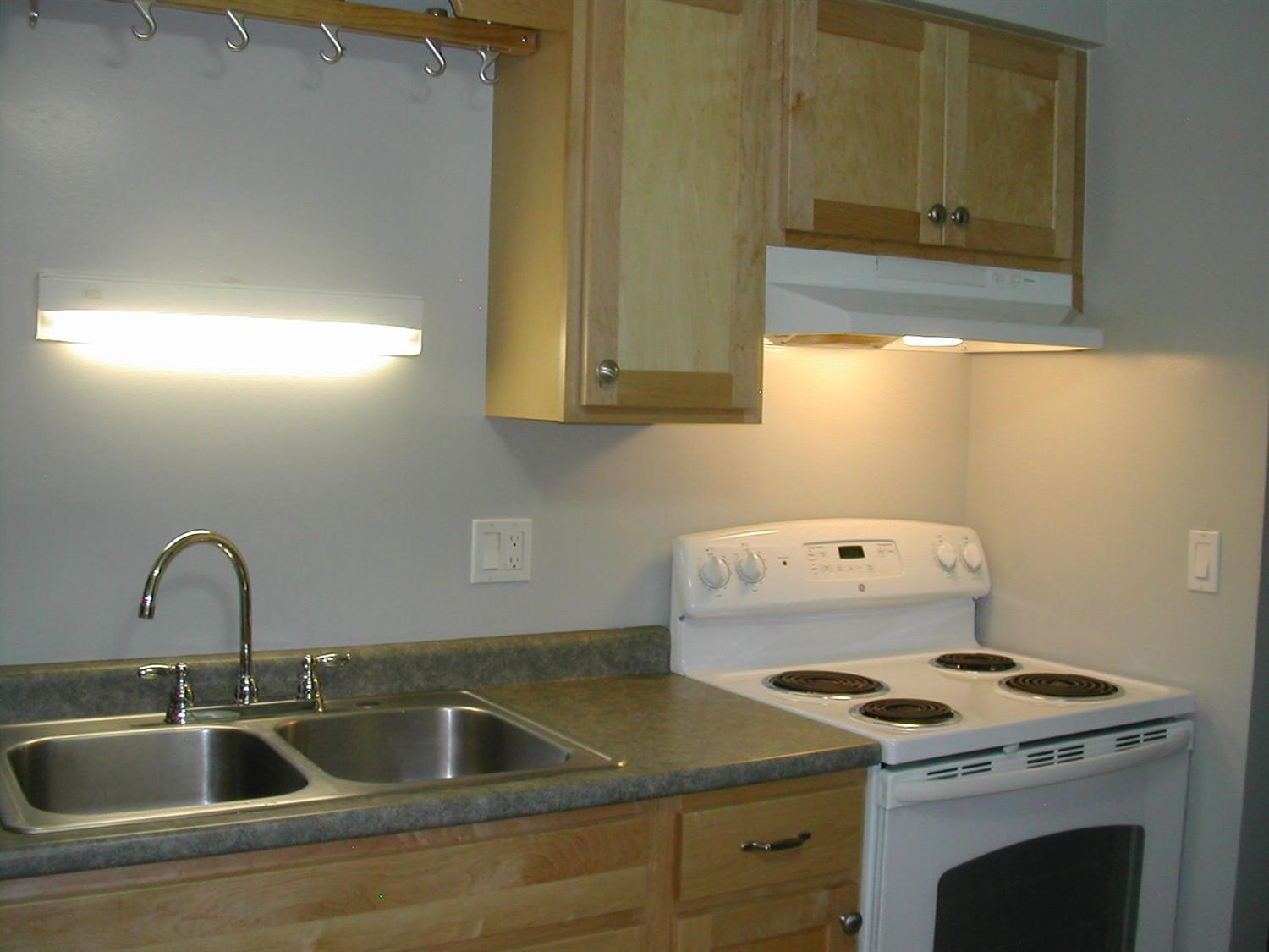 245 Brookridge Court, Unit 1 Ann Arbor, MI 48103 - Photo 7 of 17 Photo 7