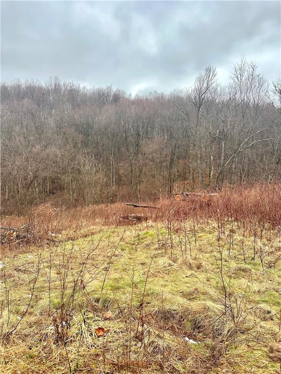1045 Frishcorn Road New Brighton, PA 15066 - Photo 2 of 5 Gallery Image 2