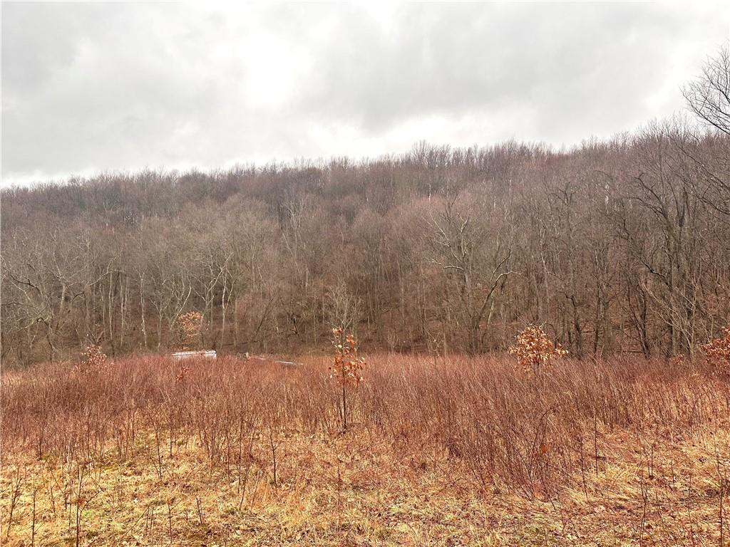 1045 Frishcorn Road New Brighton, PA 15066 - Photo 5 of 5 Gallery Image 5
