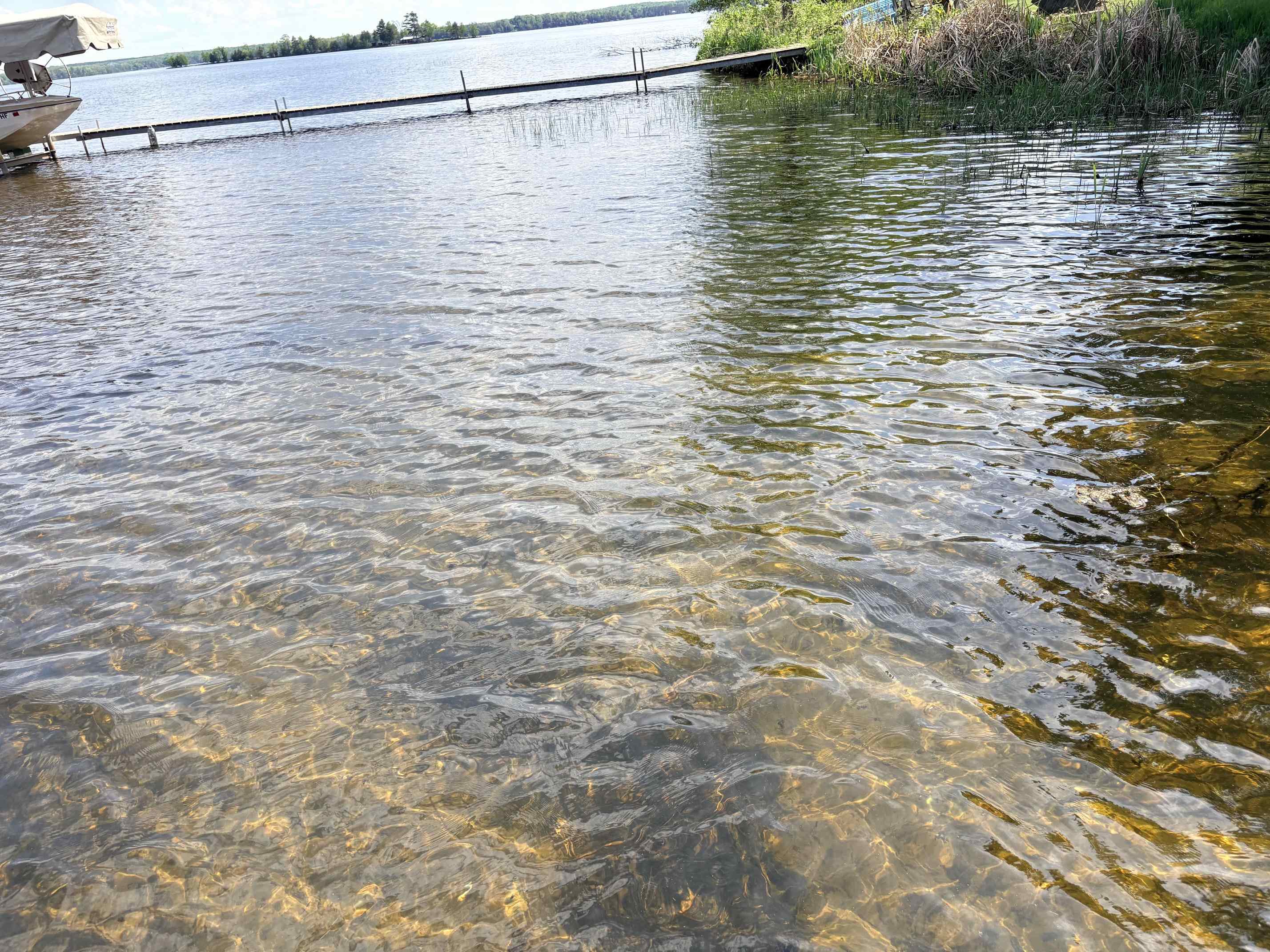2465 Norway Point Road Pelican Lake, WI 54463 - Photo 11 of 21