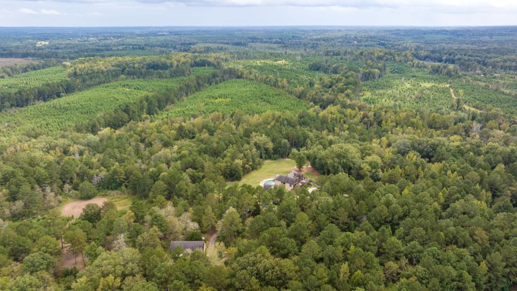 400 Harmony Road Eatonton, GA 31024 - Photo 127 of 136 a view of a lush green forest with trees and some houses