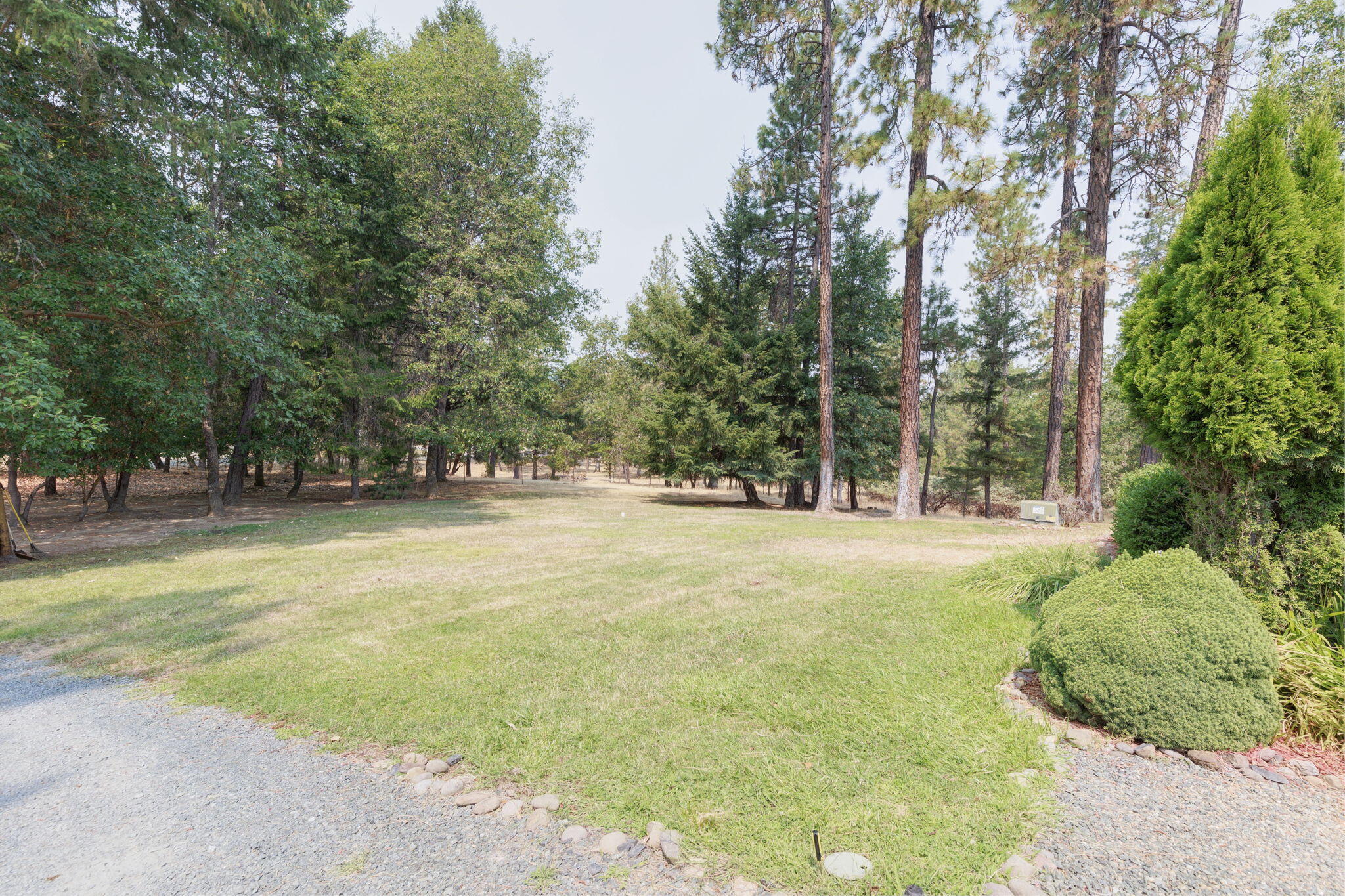 2040 Robertson Bridge Road Grants Pass, OR 97526 - Photo 26 of 39 a view of outdoor space with trees