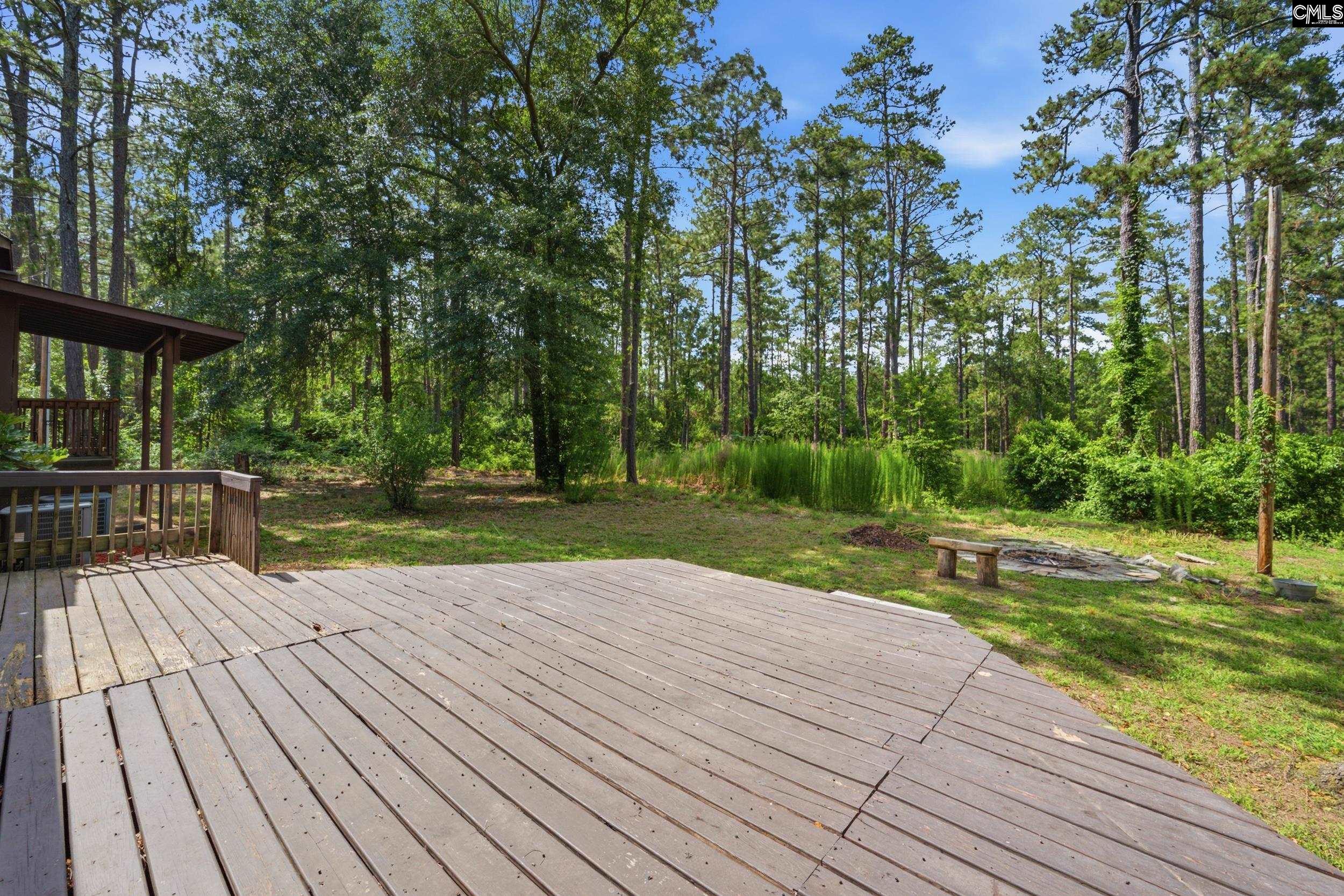 947 Ben Franklin Road Gilbert, SC 29054 - Photo 46 of 60