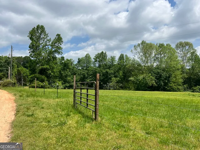 a view of a park with a tree in the background