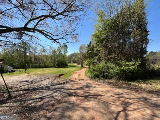 a view of a park with plants and trees