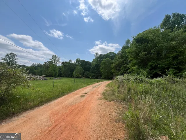 a view of a garden with an trees