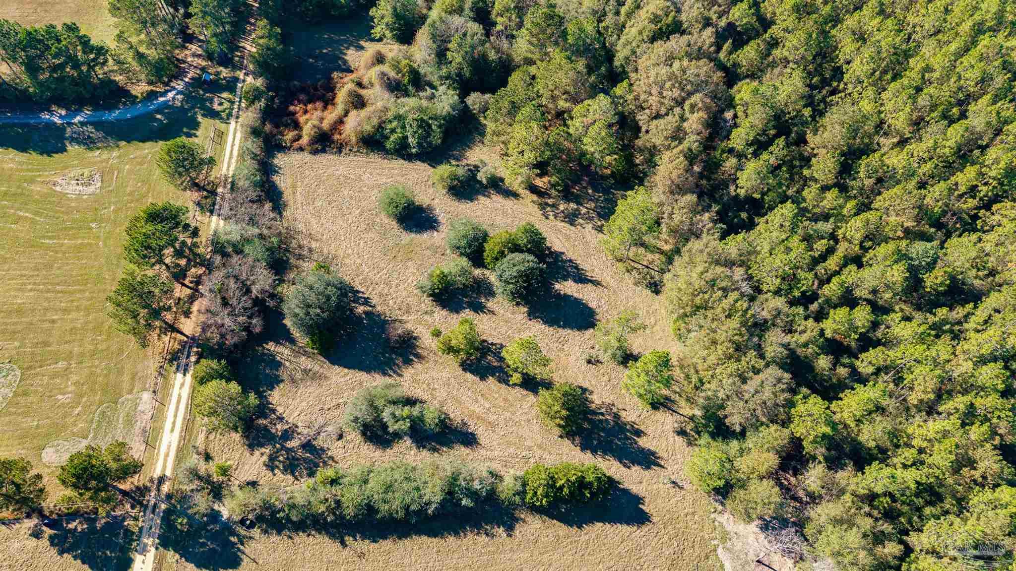 1756 Jacks Branch Road Cantonment, FL 32533 - Photo 8 of 29 a view of a garden with plants
