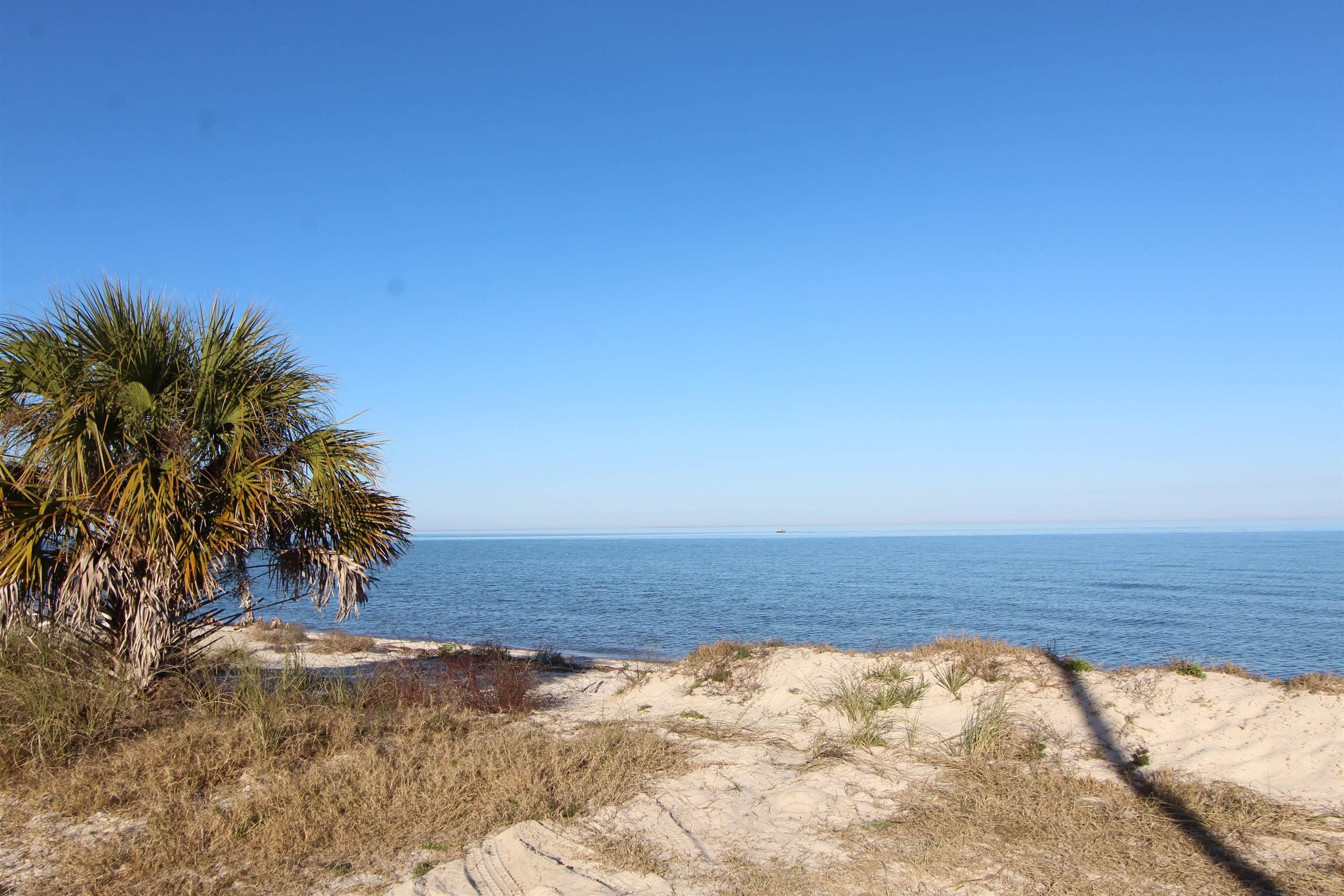 8 Trout Street Alligator Point, FL 32346 - Photo 9 of 10