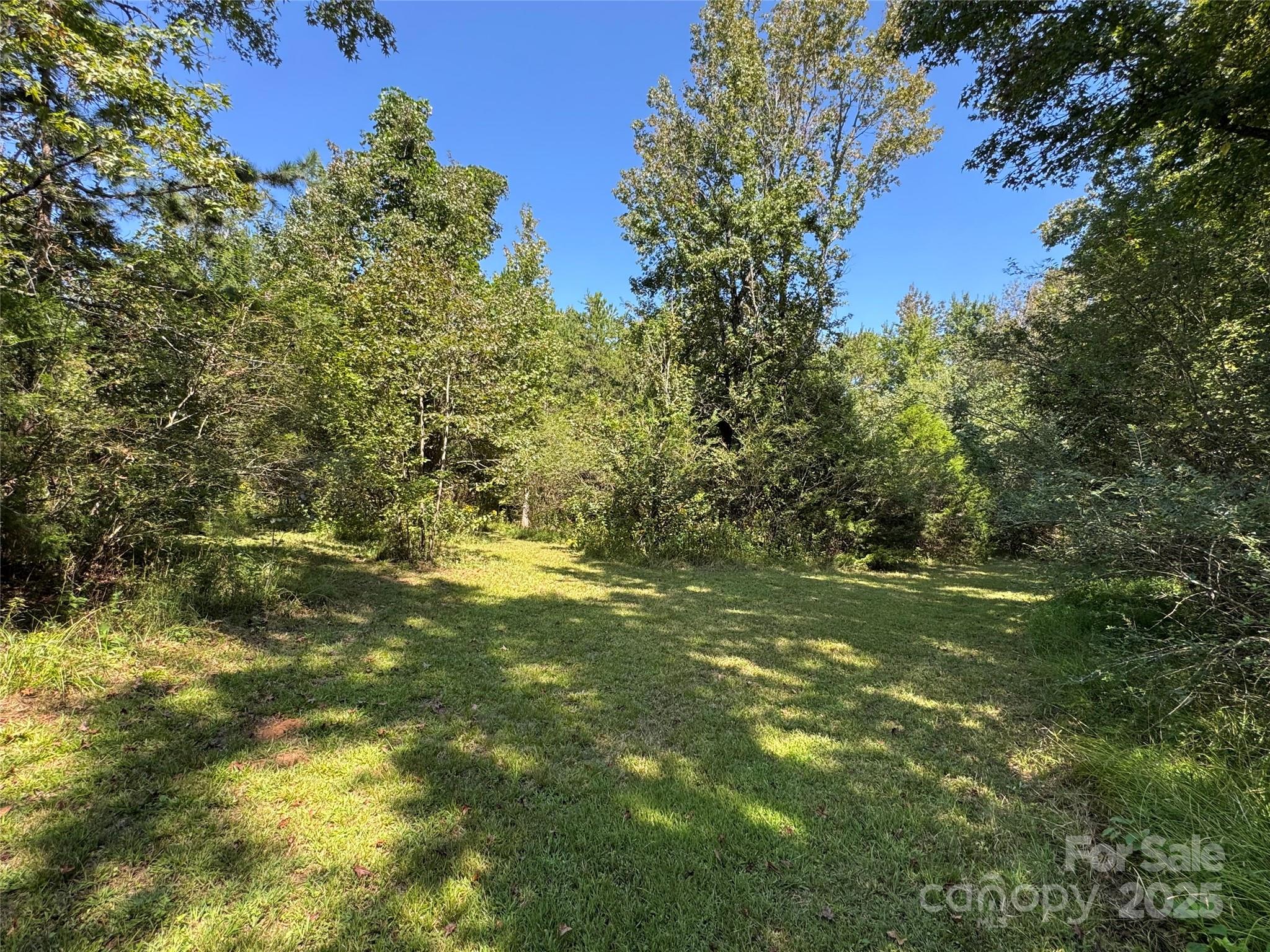 5963 Peniel Road Tryon, NC 28782 - Photo 15 of 32