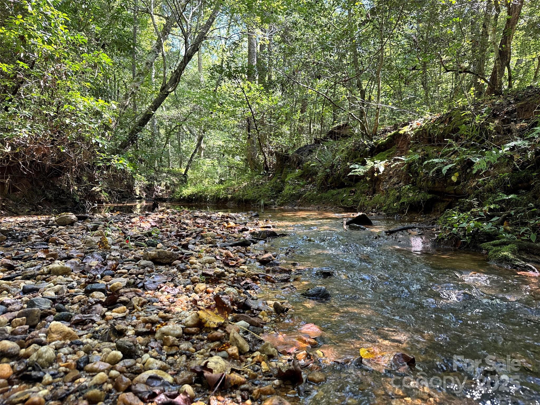 5963 Peniel Road Tryon, NC 28782 - Photo 17 of 32