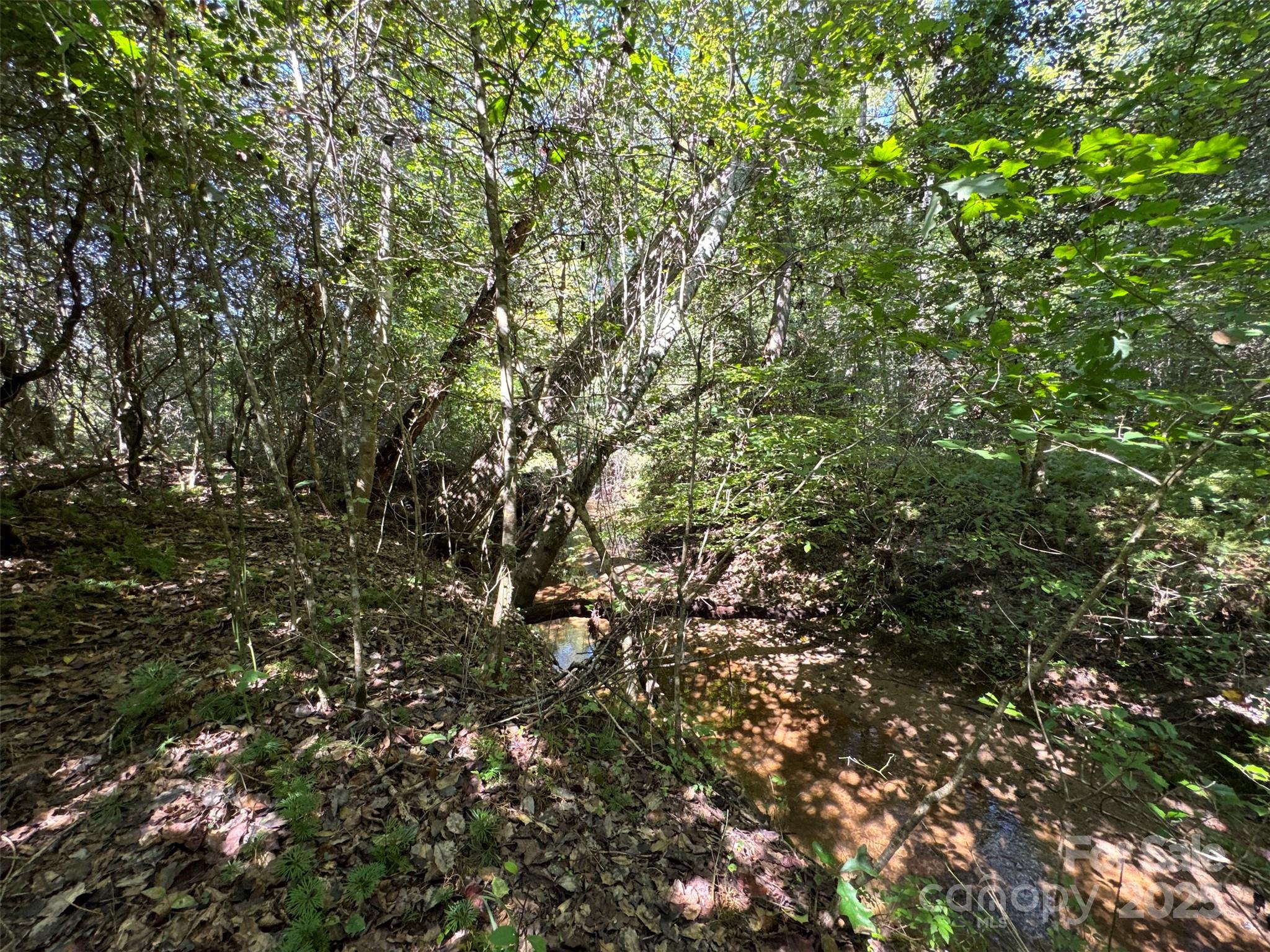 5963 Peniel Road Tryon, NC 28782 - Photo 18 of 32