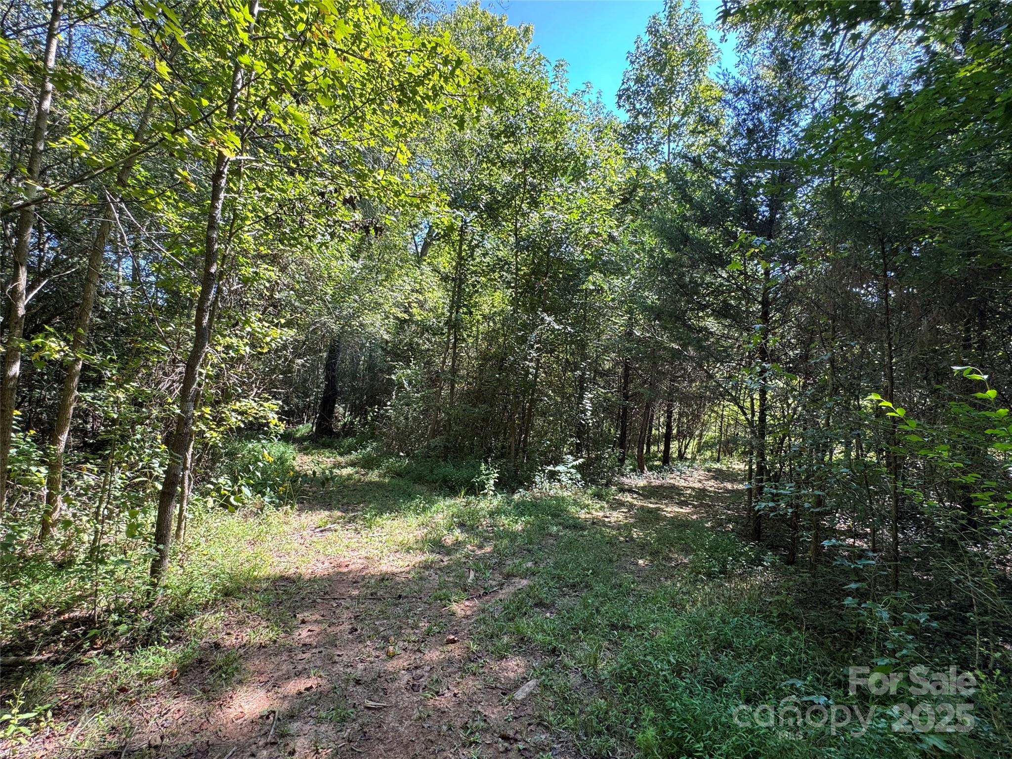 5963 Peniel Road Tryon, NC 28782 - Photo 19 of 32