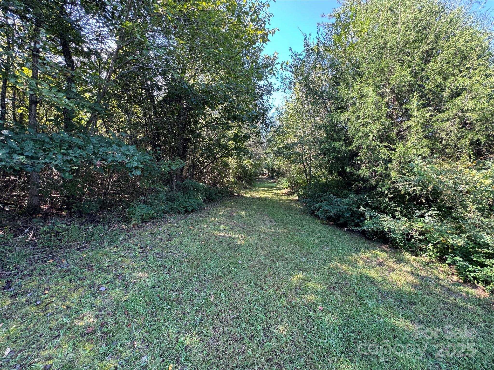 5963 Peniel Road Tryon, NC 28782 - Photo 20 of 32