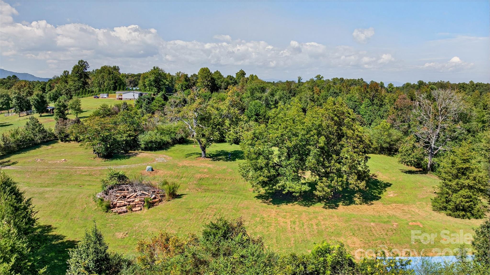 5963 Peniel Road Tryon, NC 28782 - Photo 2 of 32